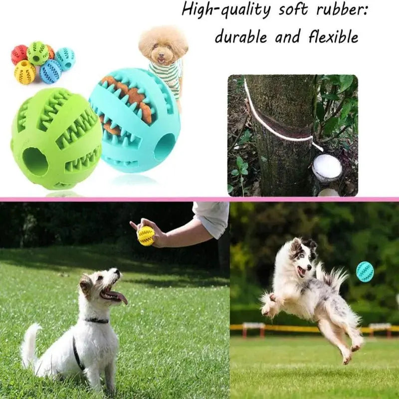 Interactive Dog Chew Toy Ball Pet Gear Haven
