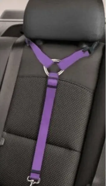 Adjustable Pet Car Seat Belt Pet Gear Haven