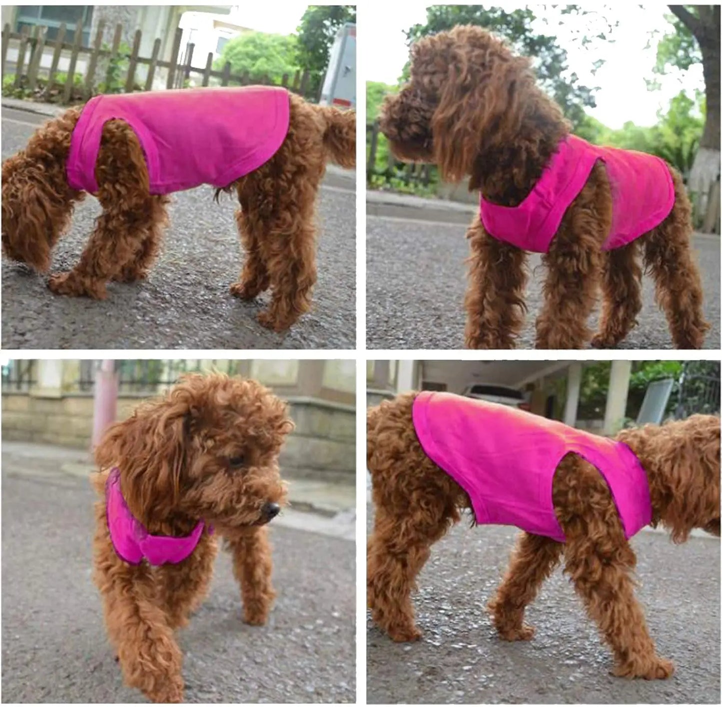 Soft Cotton Pet T-Shirt