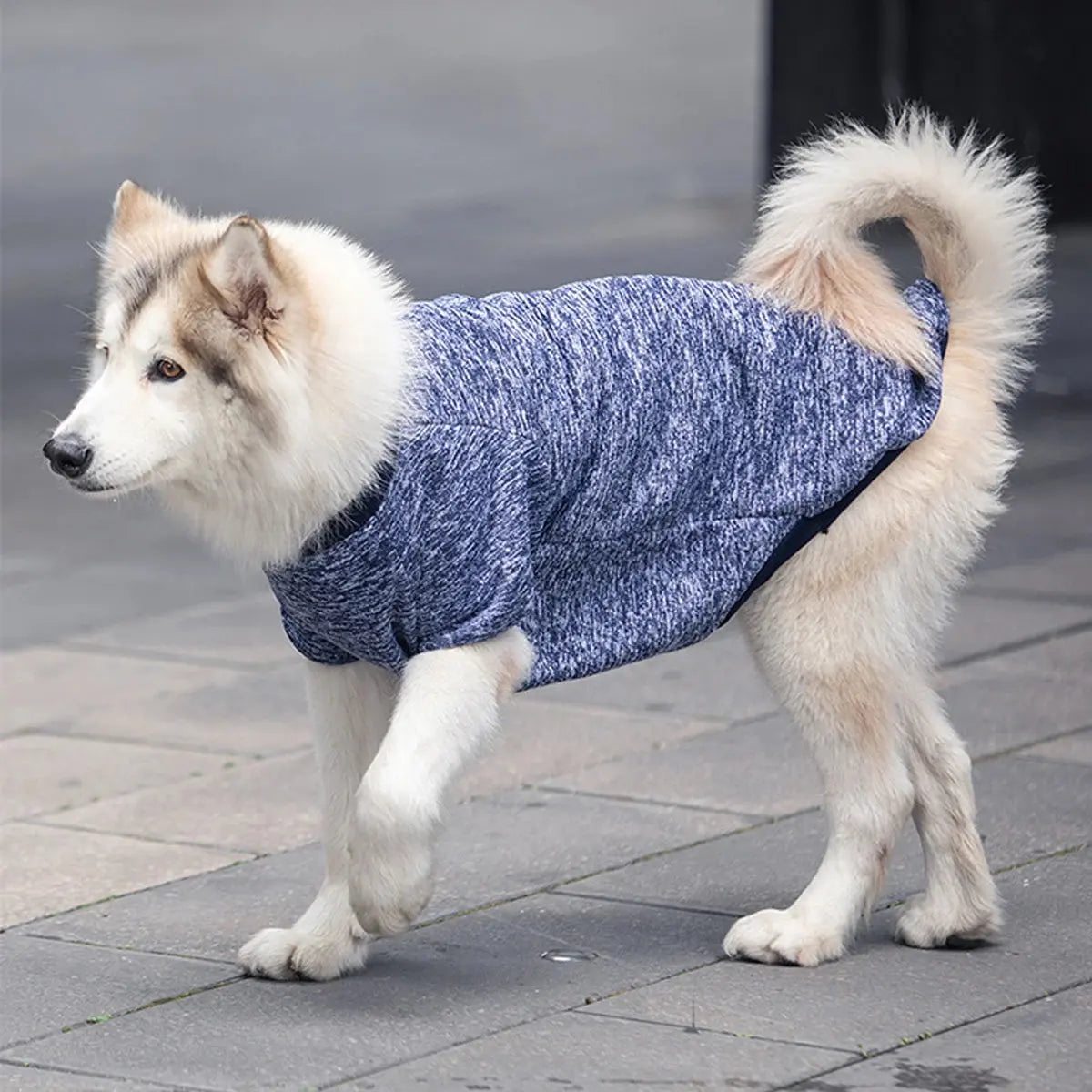 Cozy Sweatshirt for Medium and Large Dogs