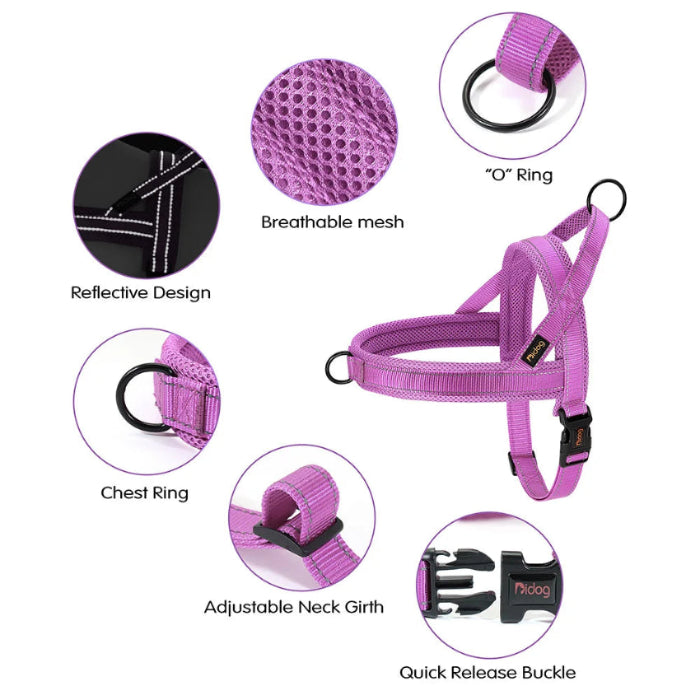 purple dog harness