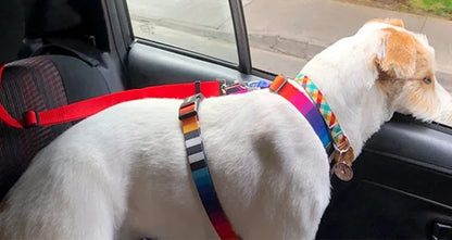 Adjustable Pet Car Seat Belt