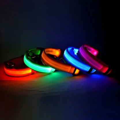 LED Glow Safety Collar