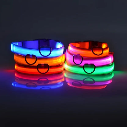 LED Glow Safety Collar