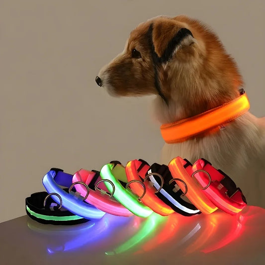 LED Glow Safety Collar