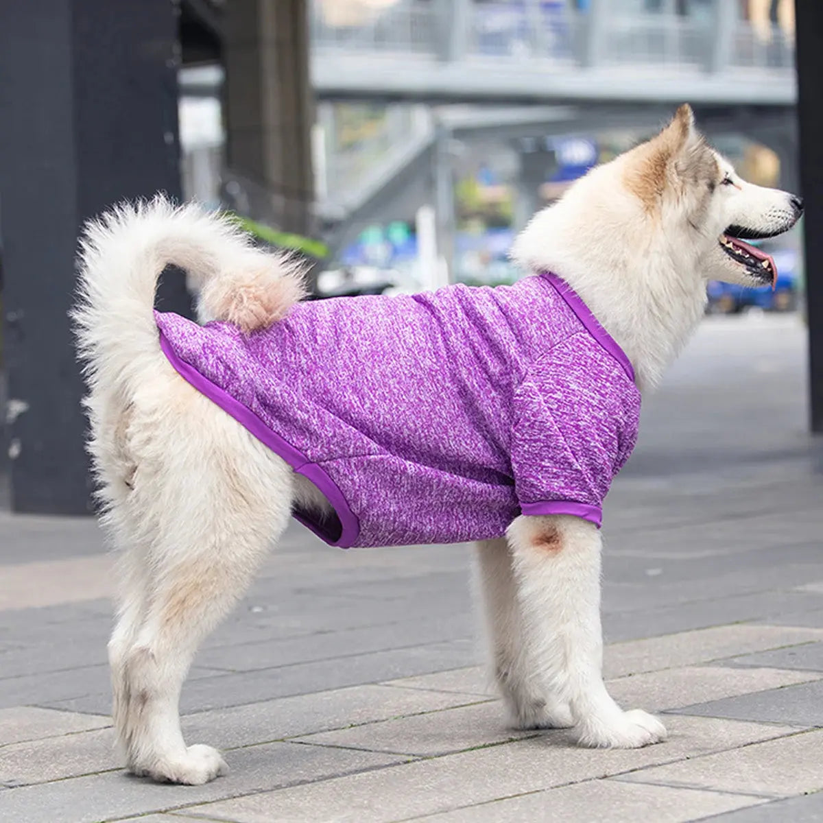 Cozy Sweatshirt for Medium and Large Dogs